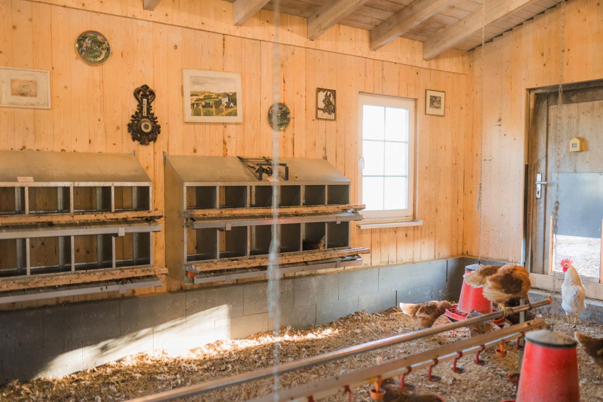 Hof Koehne - Doppelhaus - Wohnung Dreifachhexe Schmallenberg Extérieur photo
